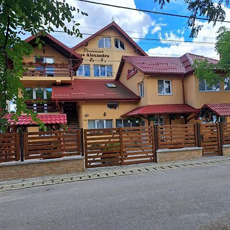 Pensiunea Casa Alexandra Vatra Dornei Luaran gambar