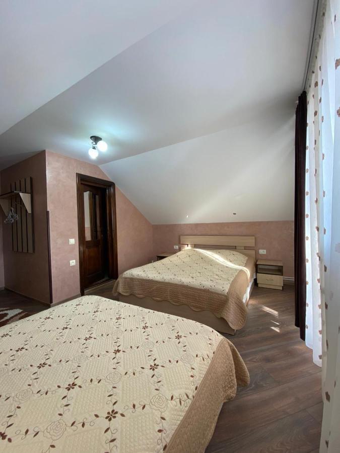 Pensiunea Casa Alexandra Vatra Dornei Luaran gambar