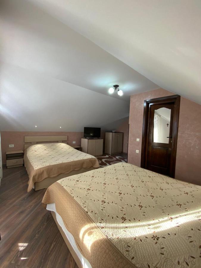 Pensiunea Casa Alexandra Vatra Dornei Luaran gambar