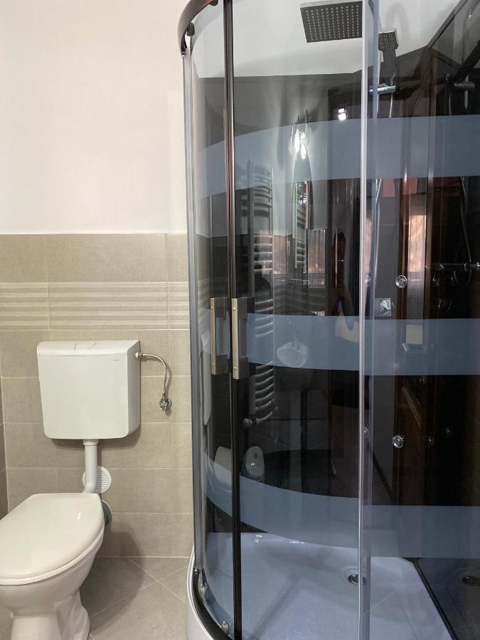 Pensiunea Casa Alexandra Vatra Dornei Luaran gambar