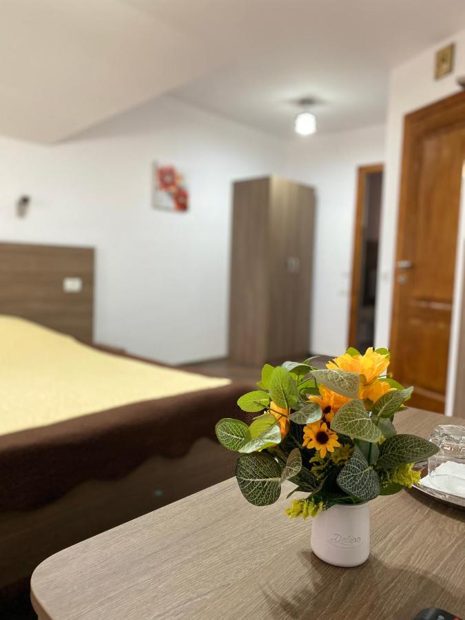 Pensiunea Casa Alexandra Vatra Dornei Luaran gambar