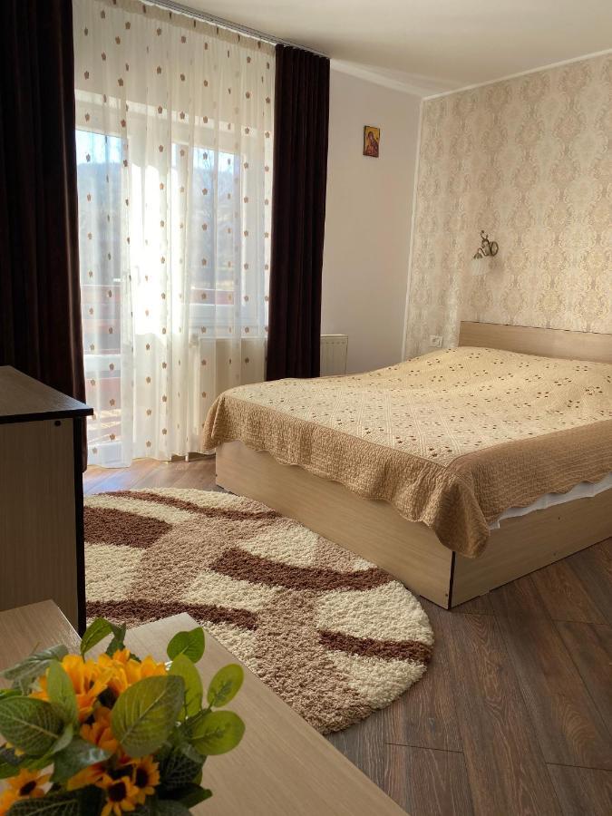 Pensiunea Casa Alexandra Vatra Dornei Luaran gambar